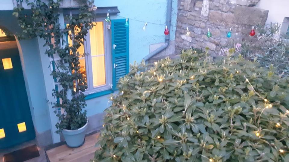 Little Garden Daire Piran Dış mekan fotoğraf